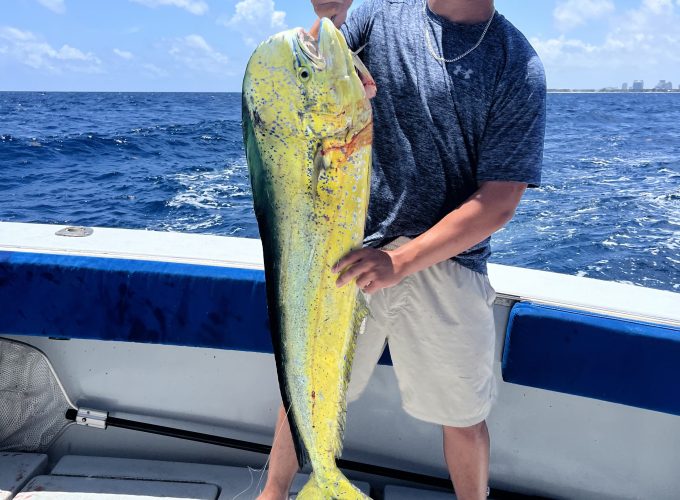 Tuna Wahoo Charter Fishing